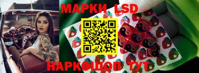 молекула духа Бердск