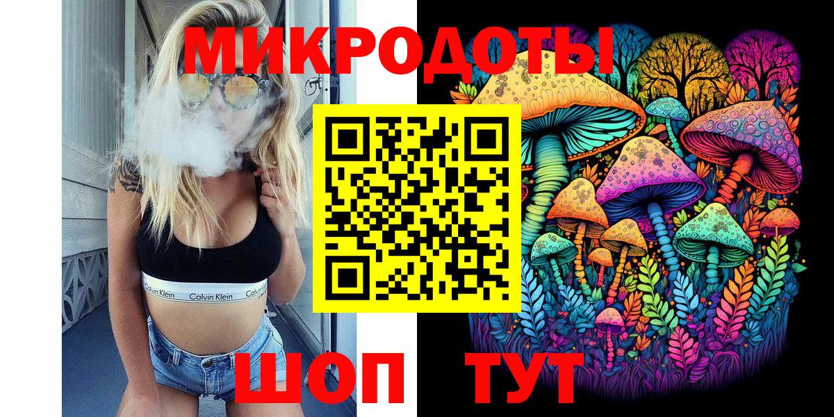 Галлюциногенные грибы Psilocybe Дальнегорск